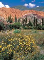 Image: Purmamarca - North of Salta: Jujuy and Humahuaca