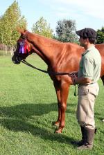 Image: Estancia El Rosario - The Pampas