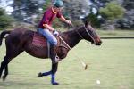 Image: Estancia El Rosario - The Pampas