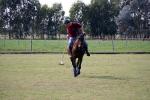 Image: Estancia El Rosario - The Pampas