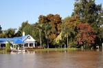 Image: Tigre Delta - The Tigre Delta