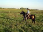 Image: El Ombu de Areco - The Pampas, Argentina