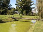 Image: El Ombu de Areco - The Pampas, Argentina