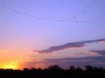 Image: La Bamba - The Pampas, Argentina