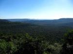 Image: Primary forest - Misiones