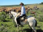 Estancia Santa Cecilia - Misiones, Argentina