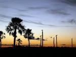 Image: Sunset - The Iber Marshlands