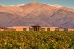 Image: The Vines - Mendoza