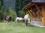 Image: Peuma Hue - Bariloche and Villa la Angostura