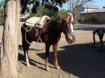 Image: Finca Santa Anita - South of Salta: Cachi and Cafayate, Argentina