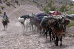 Image: Riding near Mendoza - Mendoza