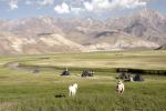 Image: Riding near Mendoza - Mendoza