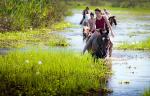 Riding in the wetlands