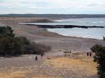 Image: Punta Tombo - Valds Peninsula