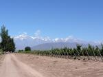 Image: Cavas Wine Lodge - Mendoza