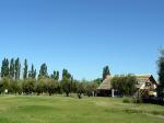 Image: Viñas del Golf - Mendoza, Argentina