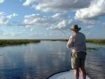 Image: Pir Lodge - The Iber Marshlands, Argentina