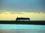 Image: Pir Lodge - The Iber Marshlands