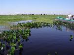 Image: San Juan Poriahu - The Iber Marshlands, Argentina