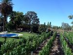 Image: Alto Chacras Lodge - Mendoza