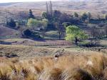 Image: Estancia Los Potreros - Crdoba, Argentina