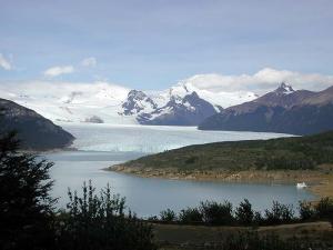 Calafate image