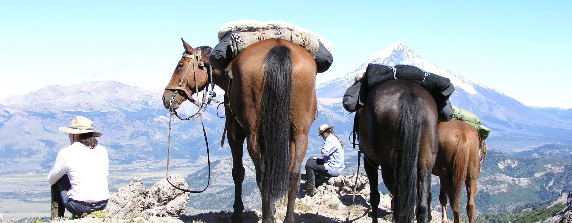 Andes and horses