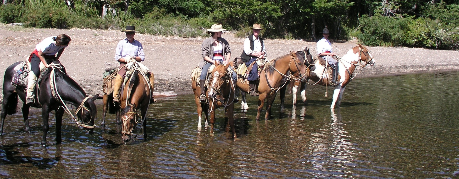 Watering the horses