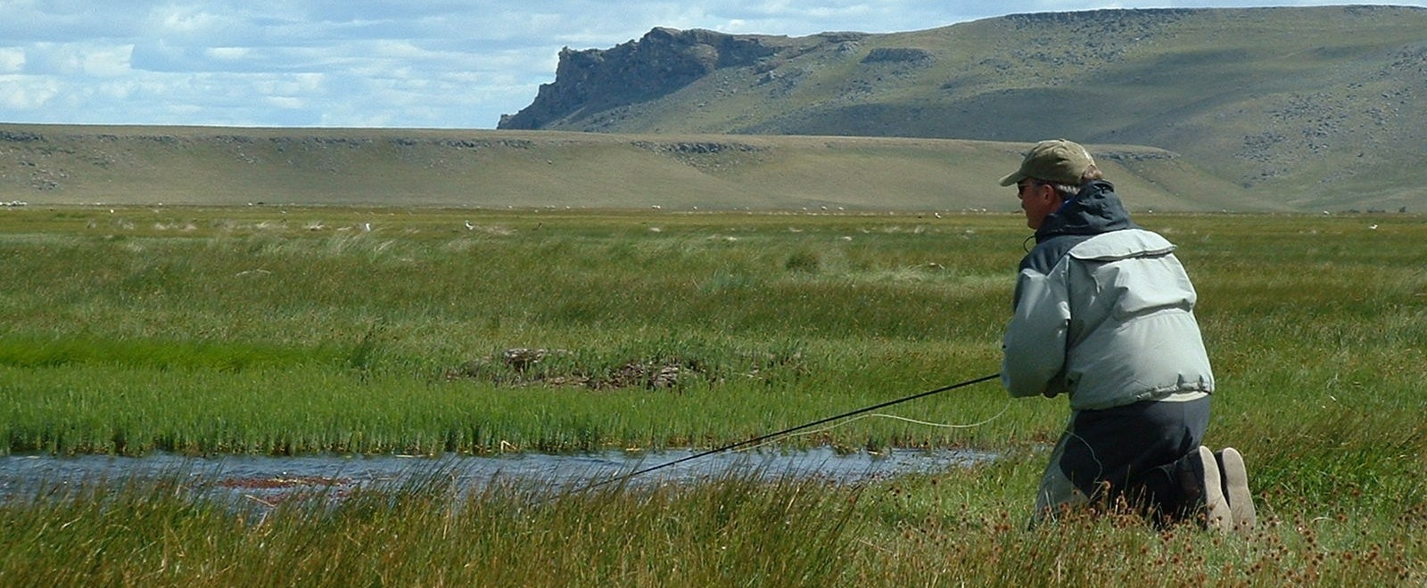 Spring creek fishing