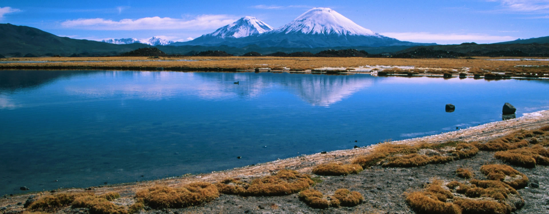 Lauca National Park