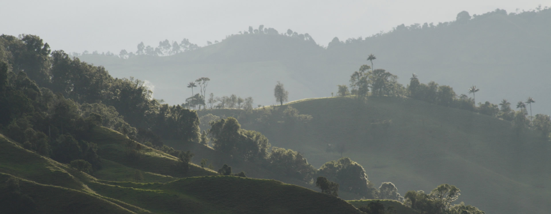 The Corcora Valley