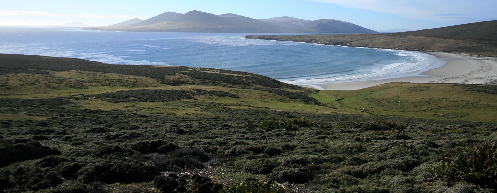 Saunders island