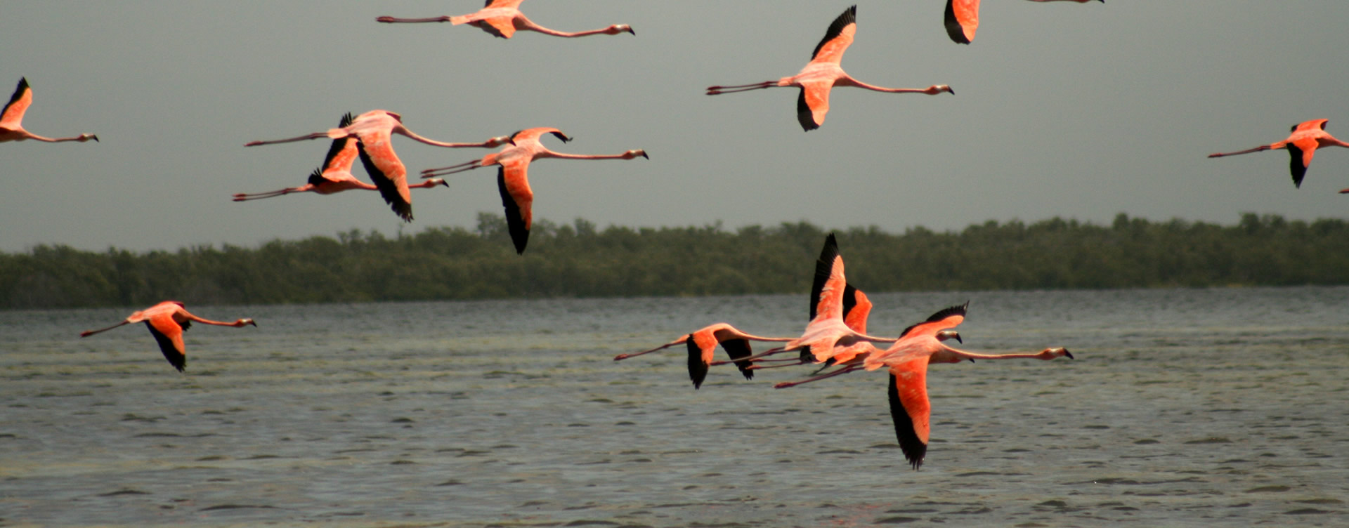 Isla Holbox