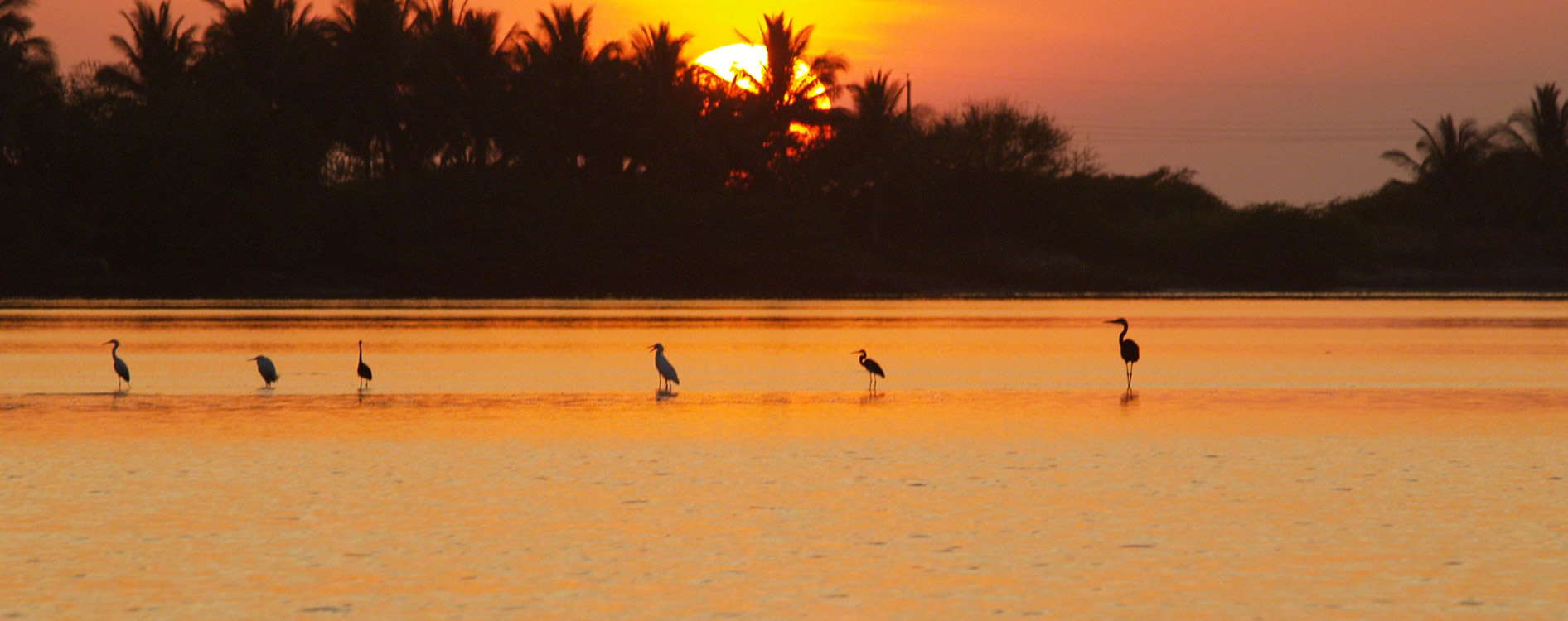 Barra de Santiago