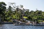 Image: Lamanai Jungle Lodge - The Highlands, Belize