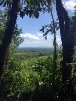 Image: Copal Tree Lodge - Dangriga, Placencia and Punta Gorda, Belize