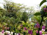 Image: Copal Tree Lodge - Dangriga, Placencia and Punta Gorda, Belize