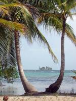 Image: South Water Caye - The Cayes