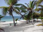 Image: South Water Caye - The Cayes