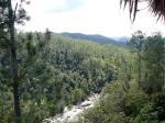 View over the Mountain Pine Ridge Reserve