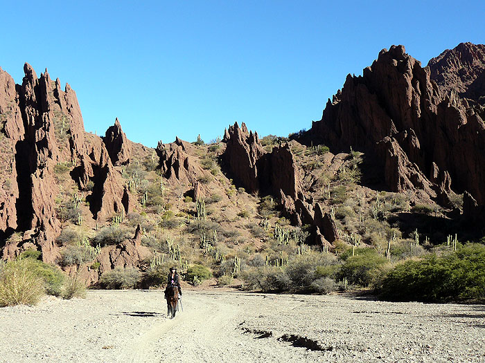 BO0609RB254_around_tupiza_canyons.jpg [© Last Frontiers Ltd]