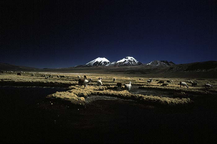 Paul_Burditt_Bolivia.jpg [© Last Frontiers Ltd]