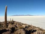 Salar de Uyuni