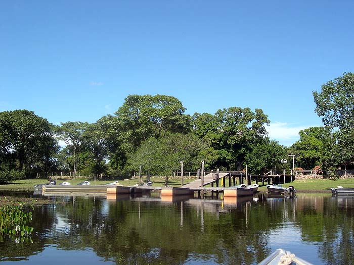 BR0504SM224_Mutum_Pier_Pantanal.jpg [© Last Frontiers Ltd]