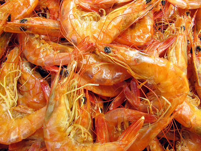 BR0512OF143_sao-luis-prawns.jpg [© Last Frontiers Ltd]