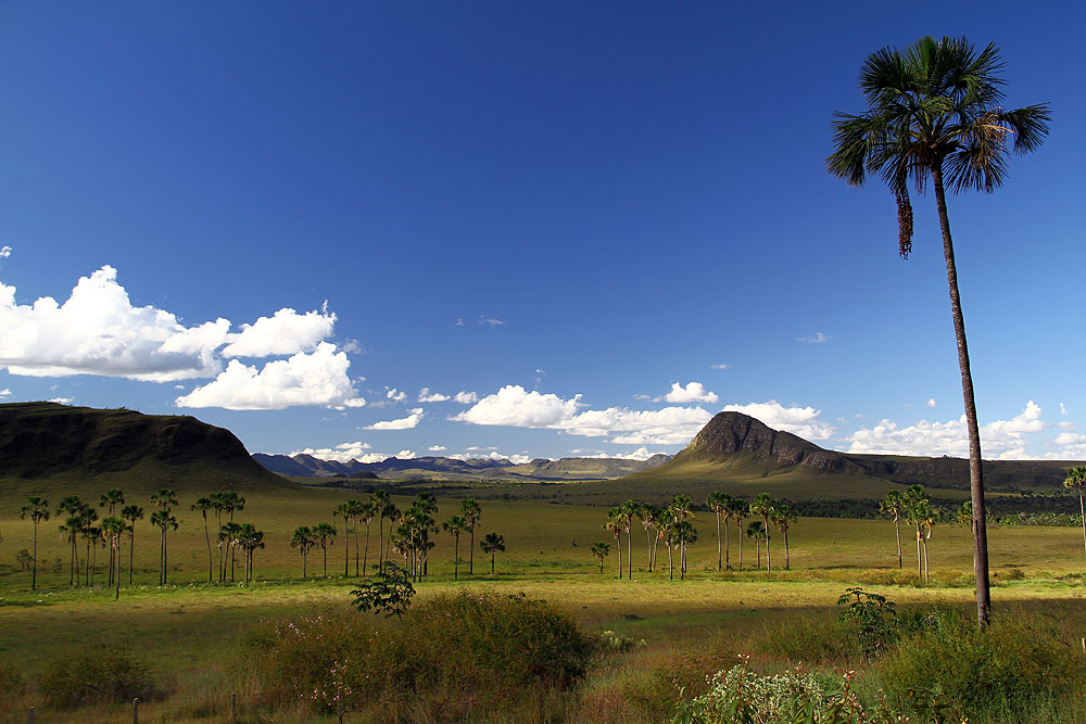 BR0708BL8568_chapada-dos-veadeiros-ion_david.jpg [© Last Frontiers Ltd]