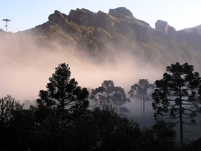 Southern Brazil image