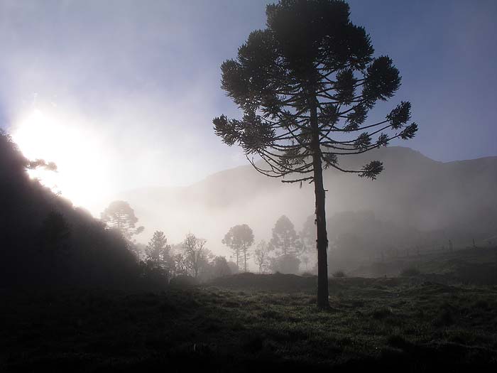 BR0904EP092_rio_canoas.jpg [© Last Frontiers Ltd]