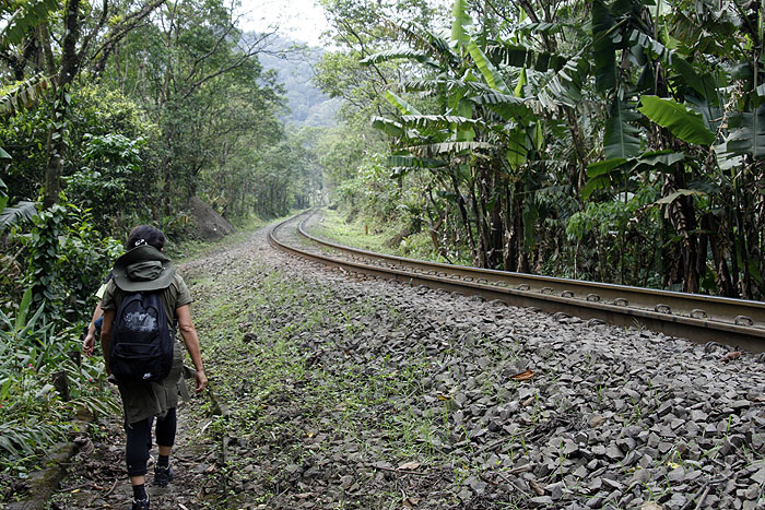 BR0910EM151_walk-through-atlantic-rainforest.jpg [© Last Frontiers Ltd]