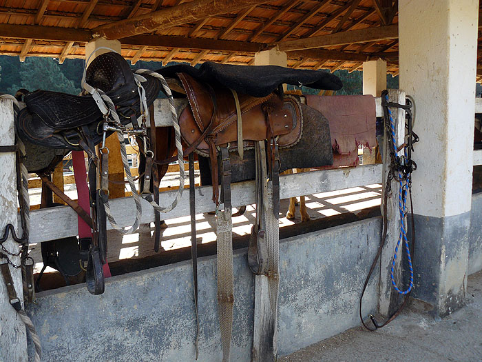 BR0911SM035_catucaba-stables.jpg [© Last Frontiers Ltd]